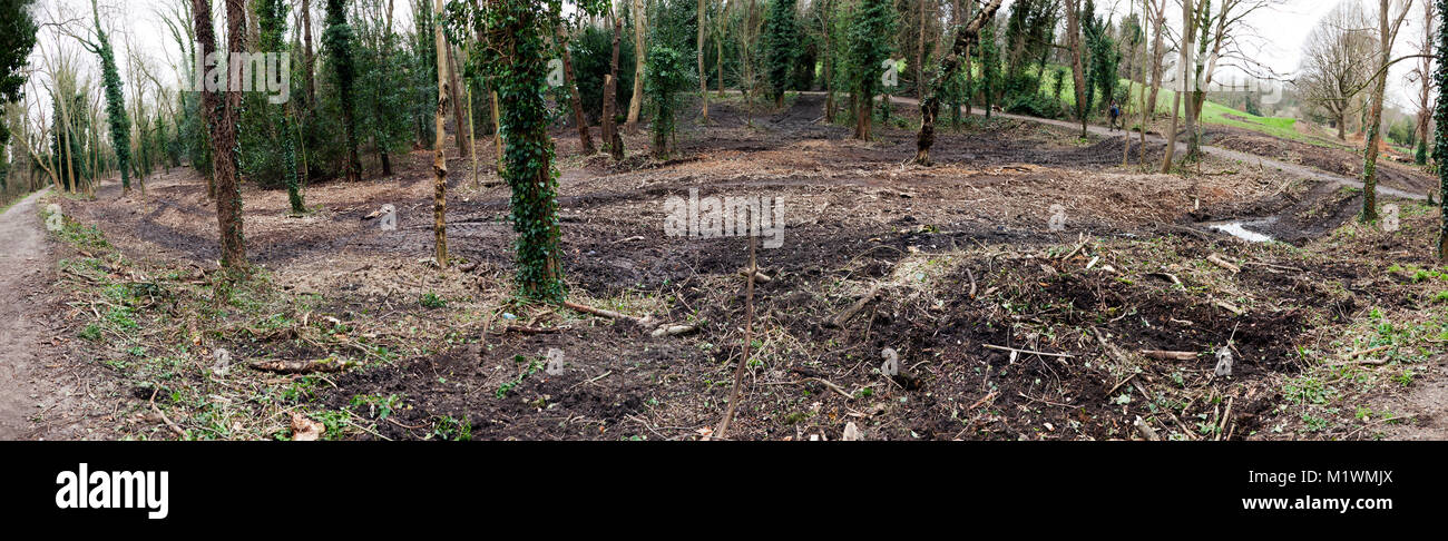 A large area of Mature Woodland is destroyed with a view to  making it into a 'wet-land' area at the margin of the new lake Stock Photo