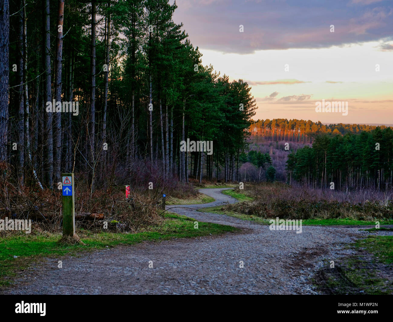 UK Weather; Loverly afternoon sunset light at the Fairoak Valley Pools on the Fairoak Trail, Cannock Chase, Staffordshire recommended by the Ordnance Survey OS it is number 76 in the ITV 100 favourite walks Stock Photo