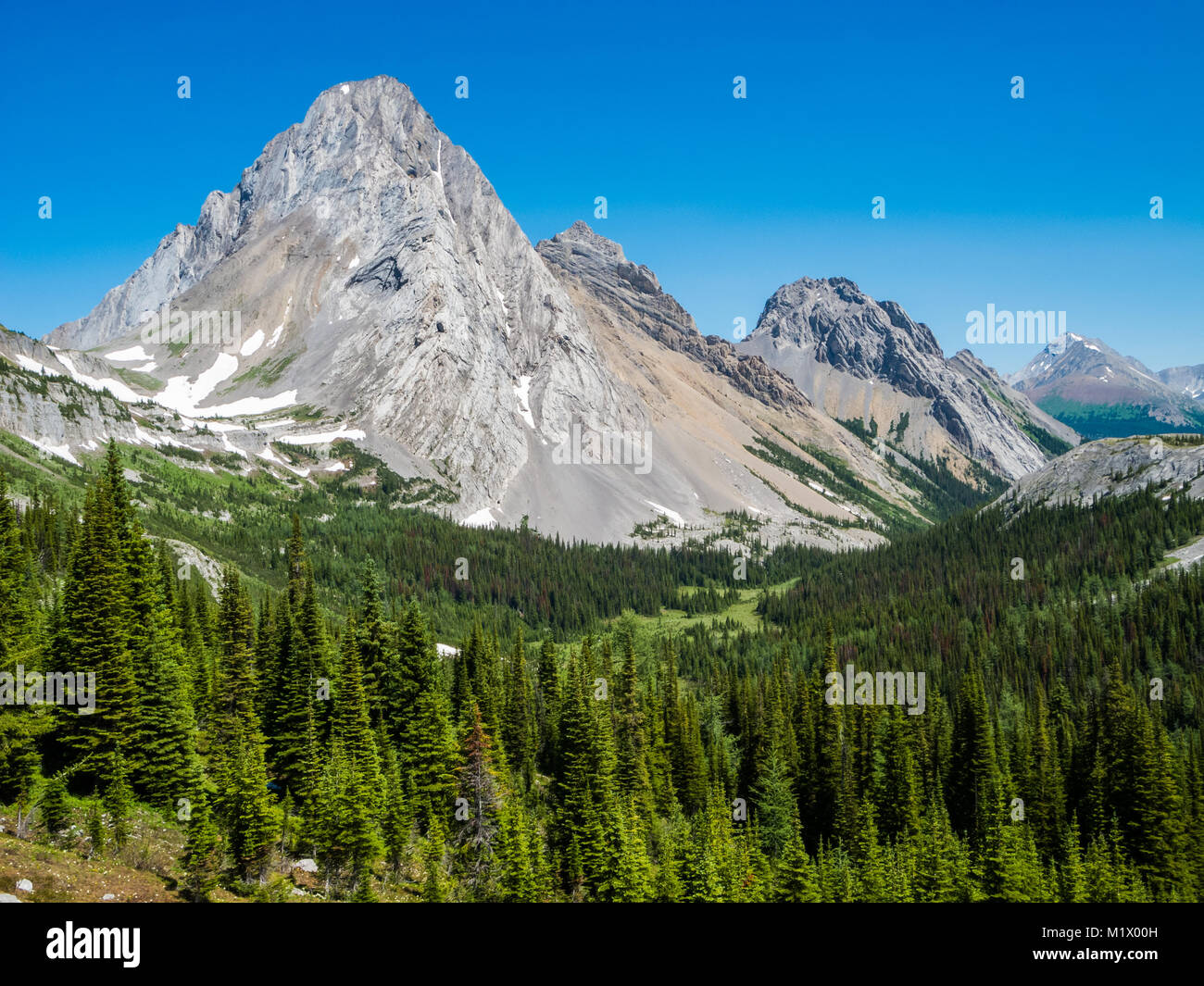 Burstall Pass in Kananaskis Country on a summer day Stock Photo Alamy