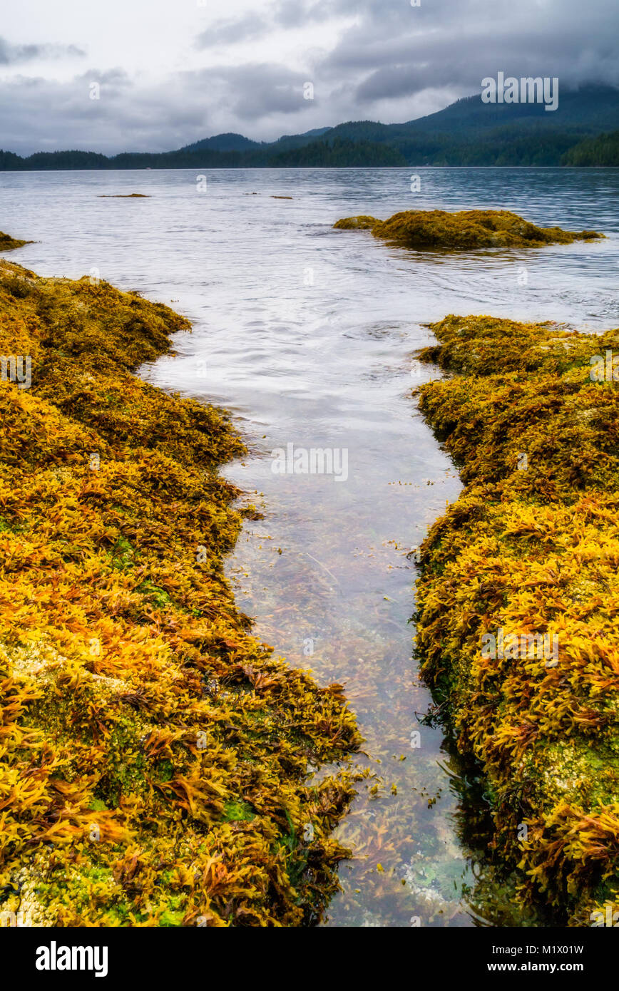 Broken off rocks in the sea hires stock photography and images Alamy