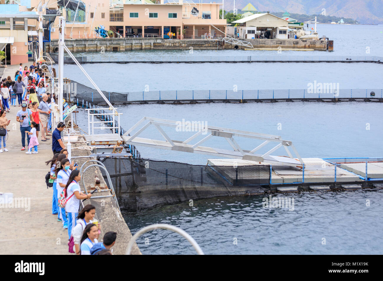 SUBIC BAY, MANILA, PHILIPPINES : JAN 28, 2018 - Encounter area of Shark and Turtle with people waiting them in Subic Ocean Adventure Stock Photo