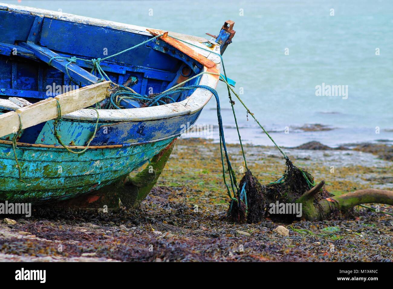Ship Wrecked wooden boat abandoned and tied up on a shingle beach Stock Photo
