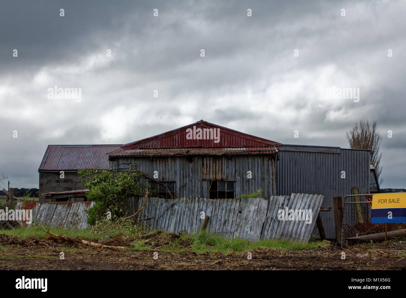 Rustic tin shed in the Australian farming district with FOR SALE sign Stock Photo