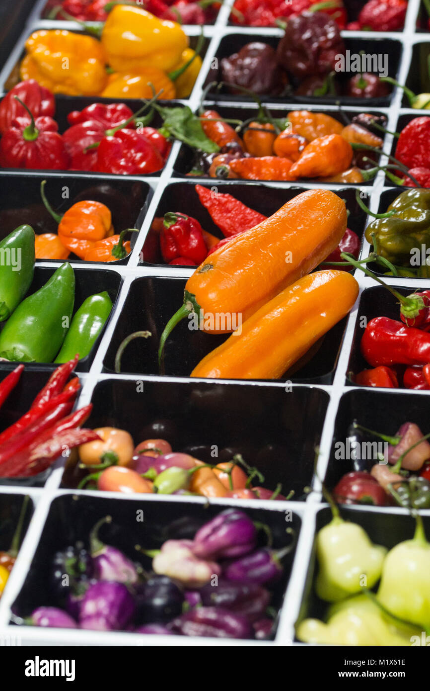Spicy chili Peppers of various colors, sold at market Stock Photo - Alamy