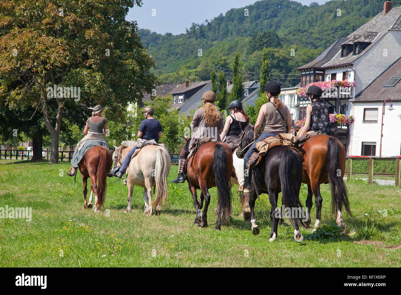 Horseback riding at riverside of Moselle river, Hatzenport, Moselle river, Rhineland-Palatinate, Germany, Europe Stock Photo