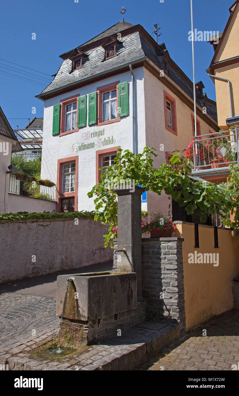 Typical old Moselle house and village well at wine village Uerzig