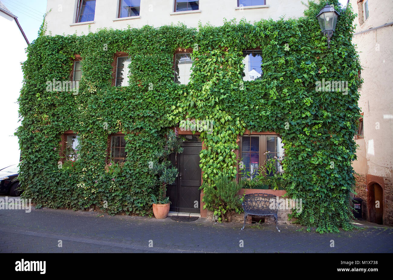 Entrance to herb garden shop, house facade with twiners, Uerzig, Moselle river, Rhineland-Palatinate, Germany, Europe Stock Photo