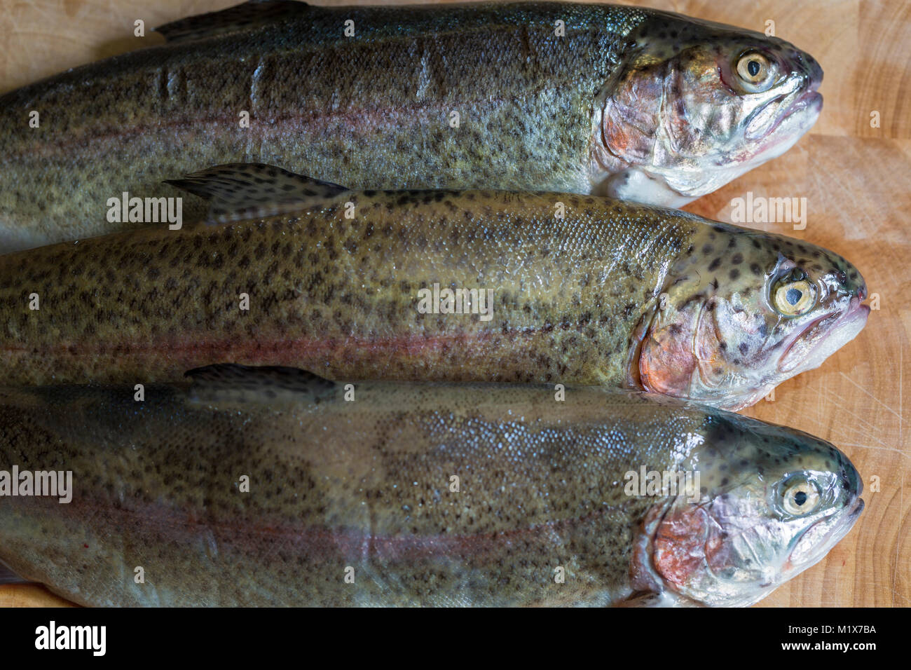 Three fresh, dead, uncooked, raw rainbow trout on wooden chopping board in kitchen Stock Photo
