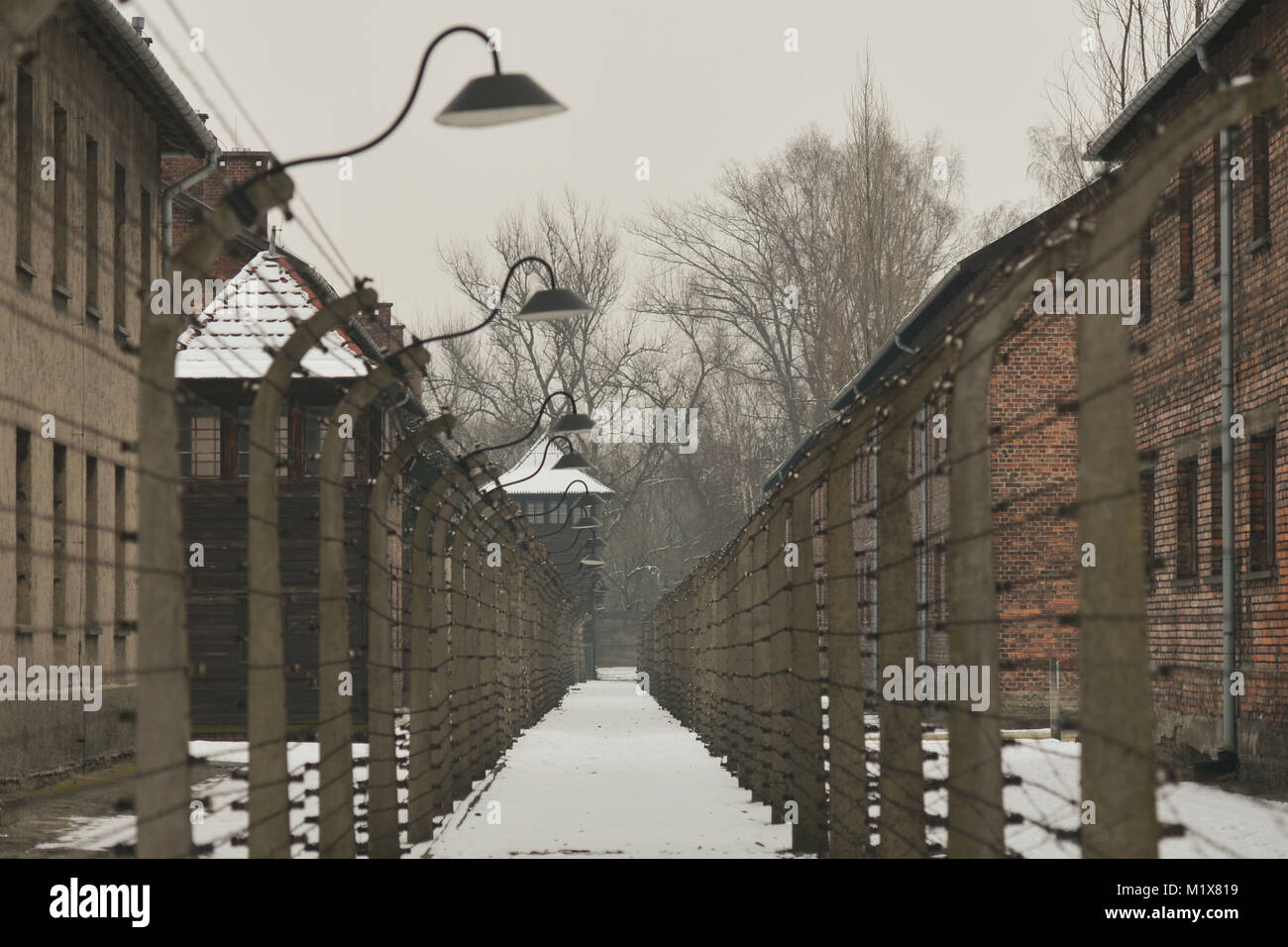 Barbed wire fences and barriers inside Auschwitz I German Nazi concentration and extermination camp on the 73rd Anniversary of Liberation by Red Army. Stock Photo