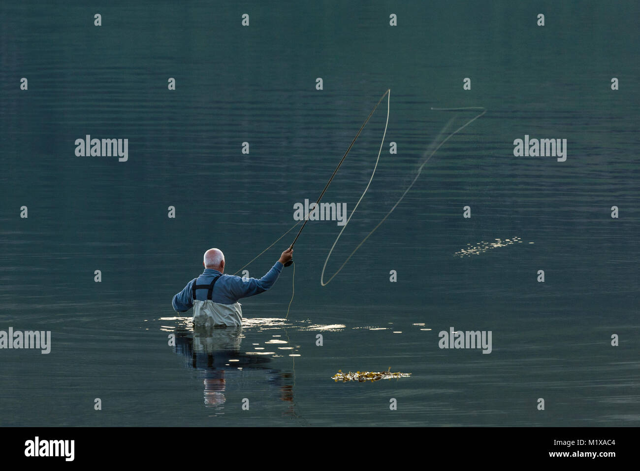 Fisherman, waist deep in very calm water while fly-casting. Stock Photo