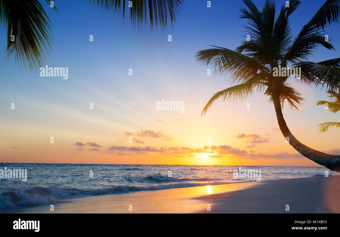 Art Beautiful sunset over the tropical beach Stock Photo - Alamy