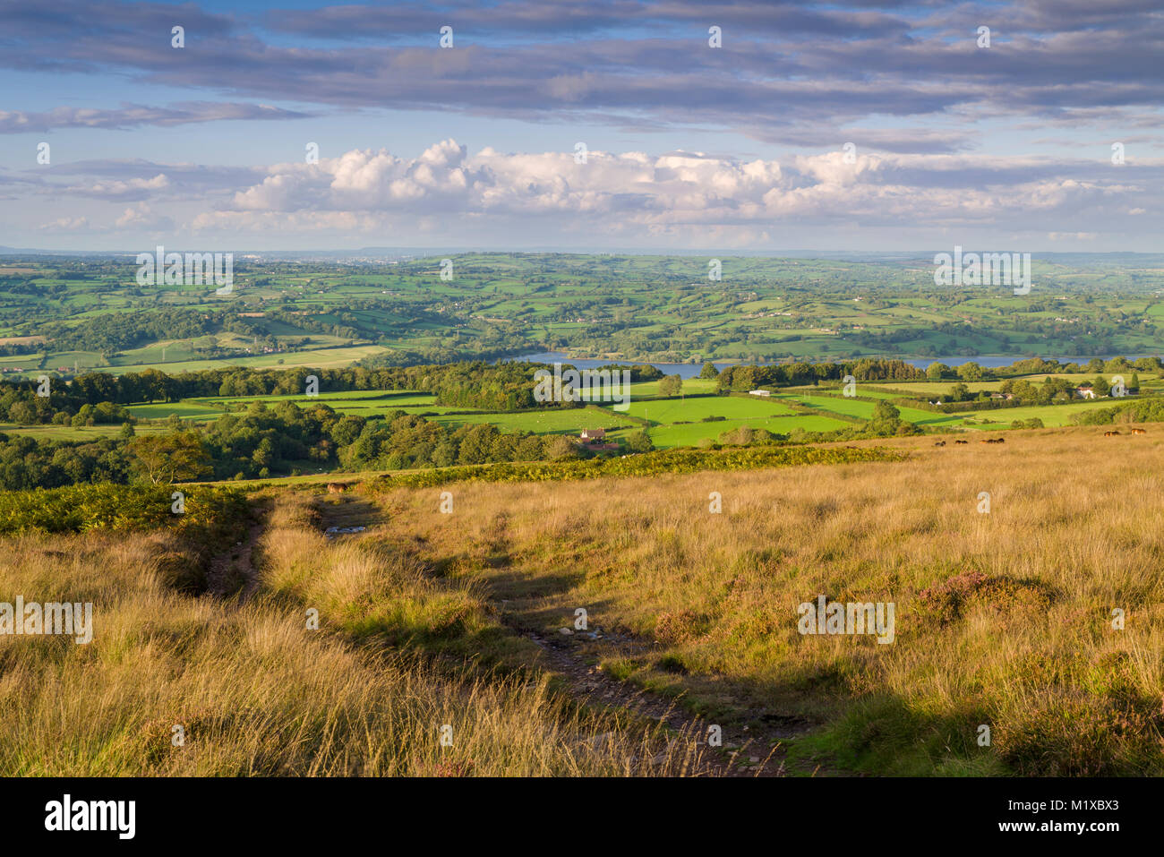 Black Down in the Mendip Hills National Landscape in early autumn with the Yeo Valley beyond, Somerset, England. Stock Photo