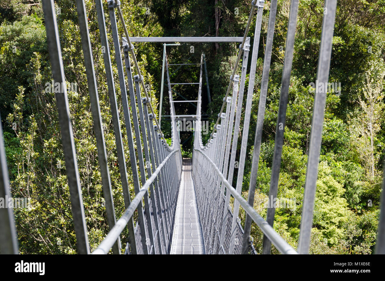 Swing Bridge over Waiohine River, Tararua Forest Park, New Zealand Stock Photo