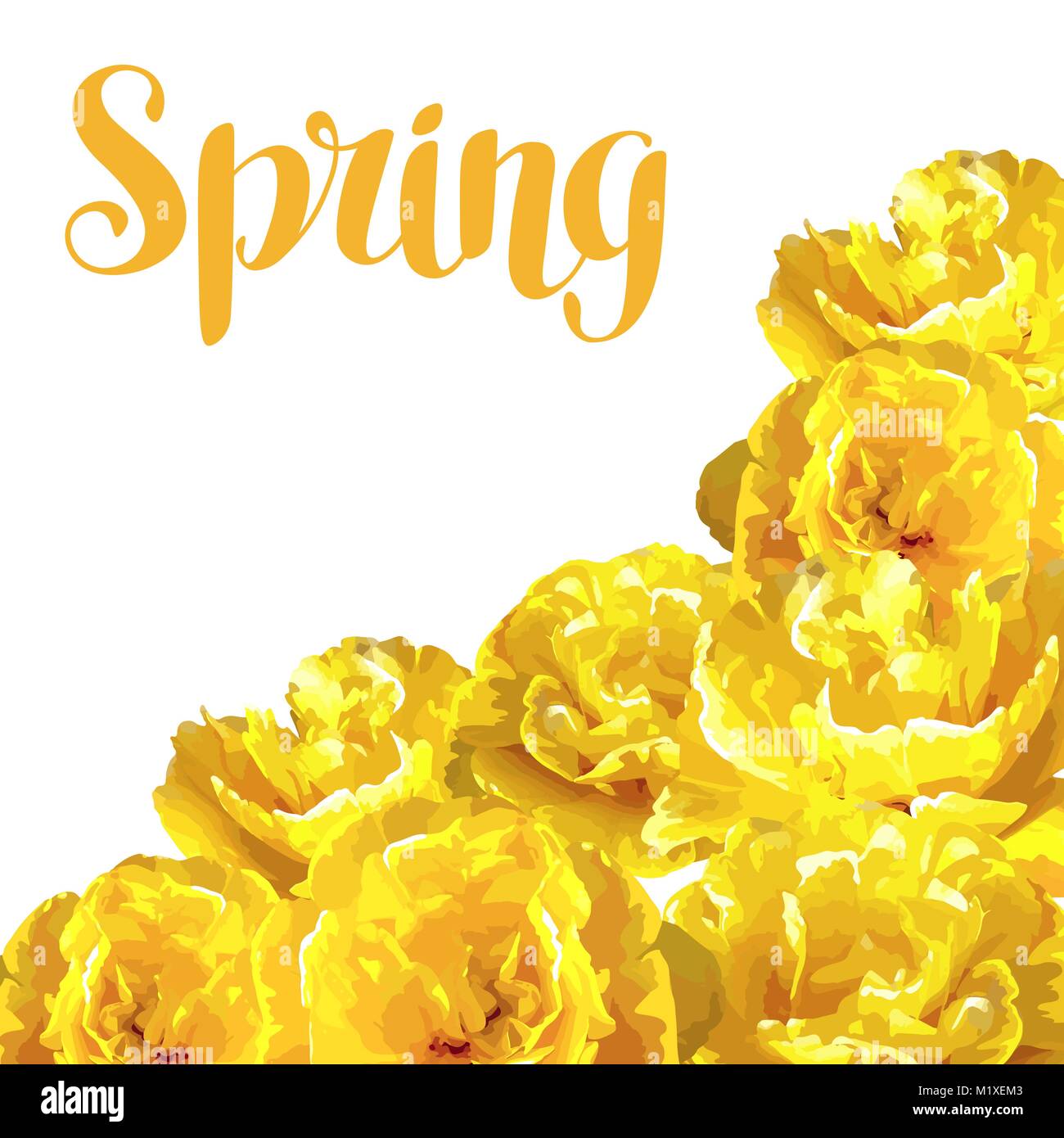 Spring background with fluffy yellow tulips. Beautiful realistic ...