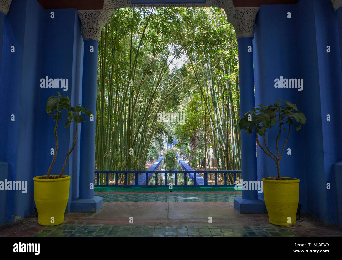 general view of the Jardin Majorelle, marrakech, morocco Stock Photo ...