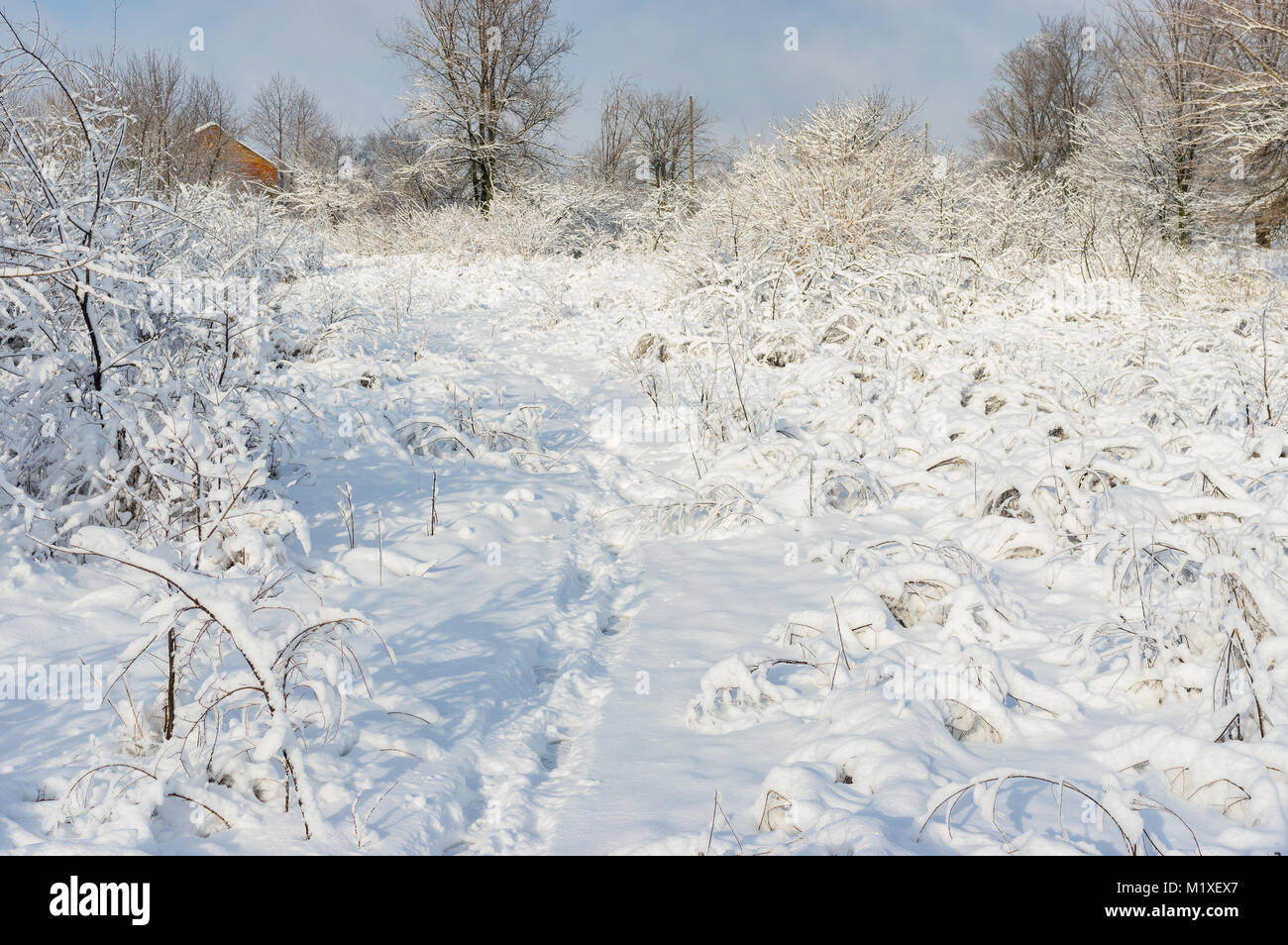 Winter landscape with path to home in deep and fresh snow Stock Photo ...