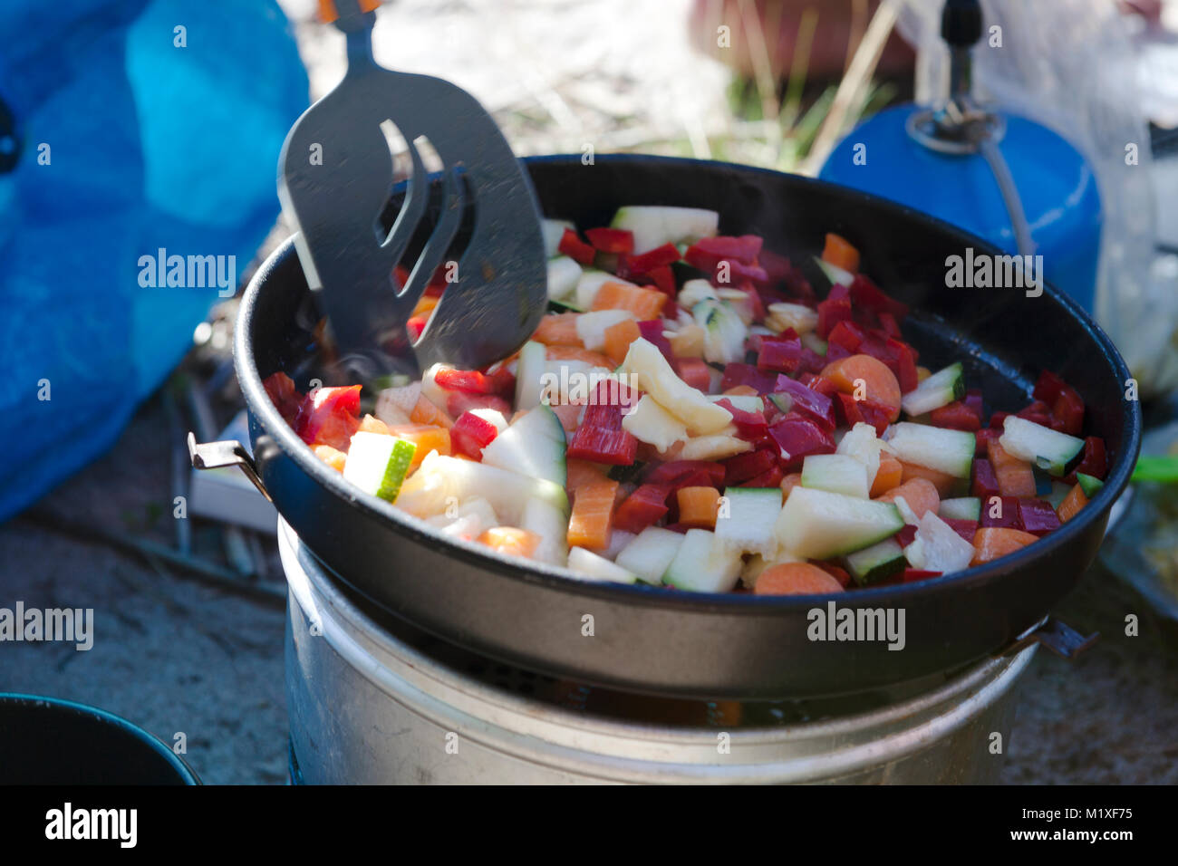 Vegetables in pot on camp stove Stock Photo Alamy