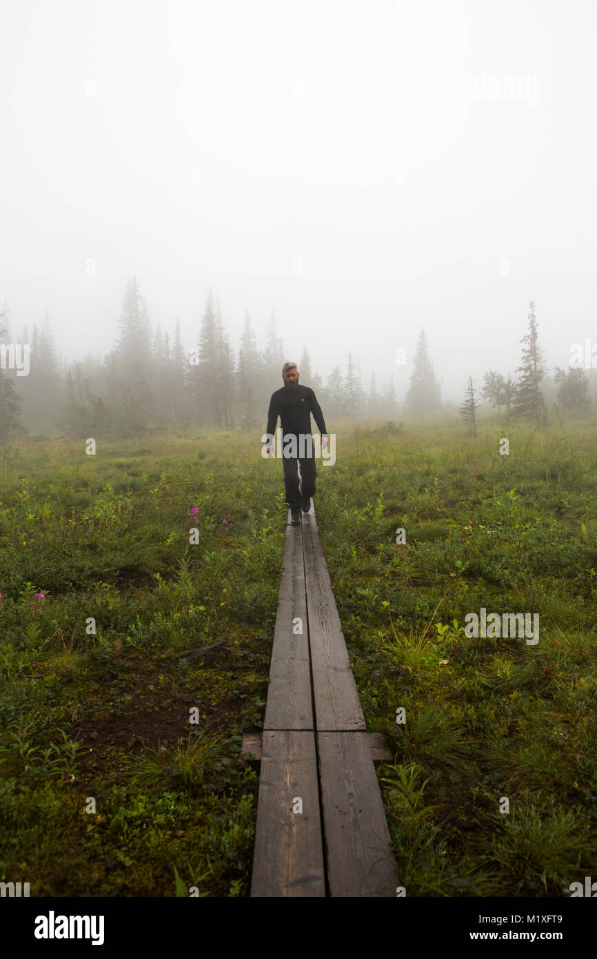 Man in foggy forest in Jamtland, Sweden Stock Photo