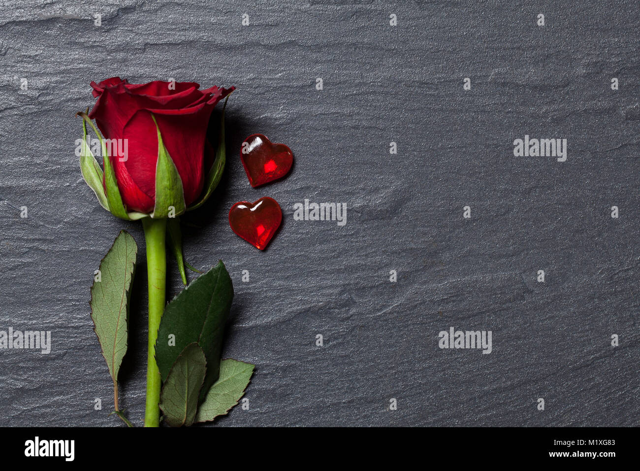 Rose and heart valentine's day background Stock Photo