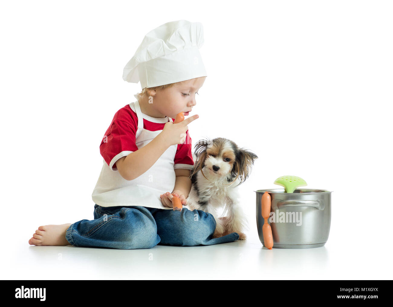 Cute kid boy dressed cook plays with funny dogs isolated Stock Photo