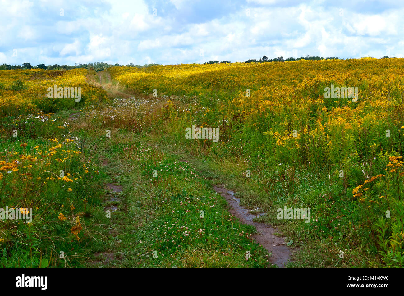 Wide field hi-res stock photography and images - Alamy