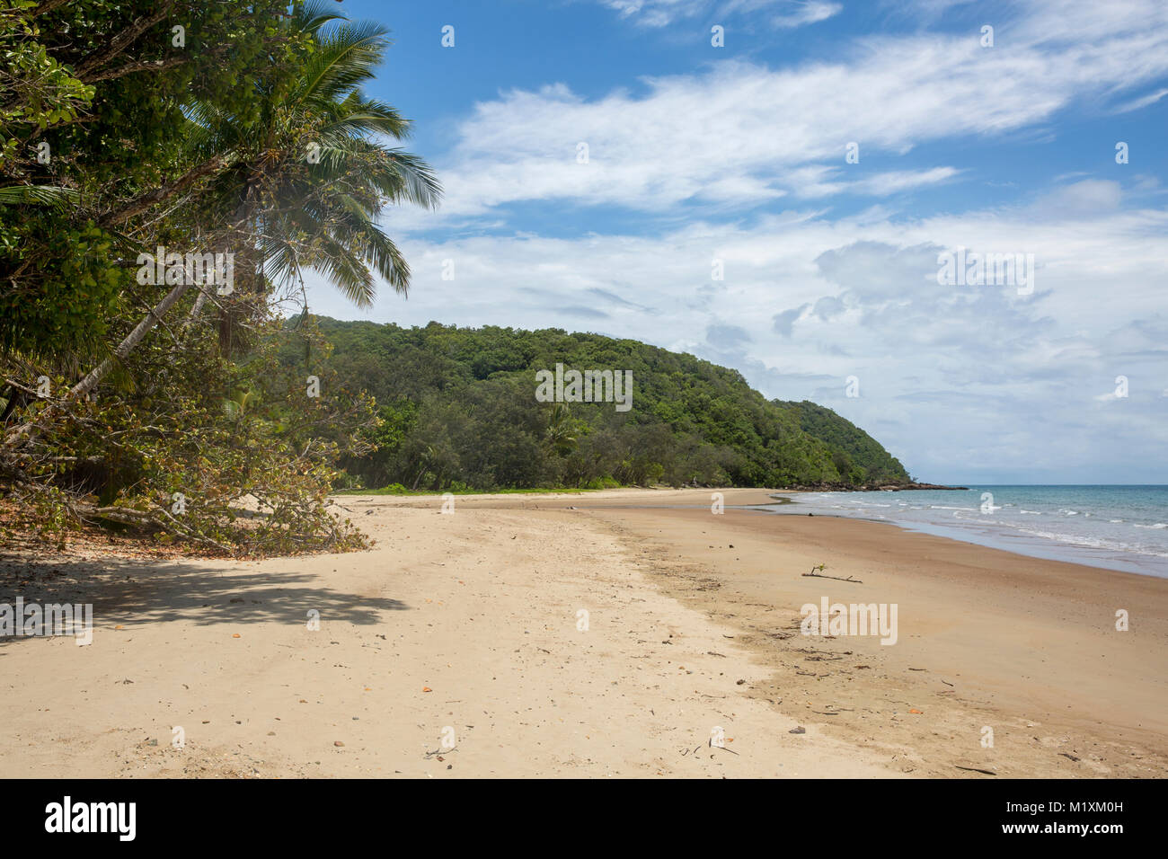 Cow Bay beach and coastline near Cape Tribulation in Far north