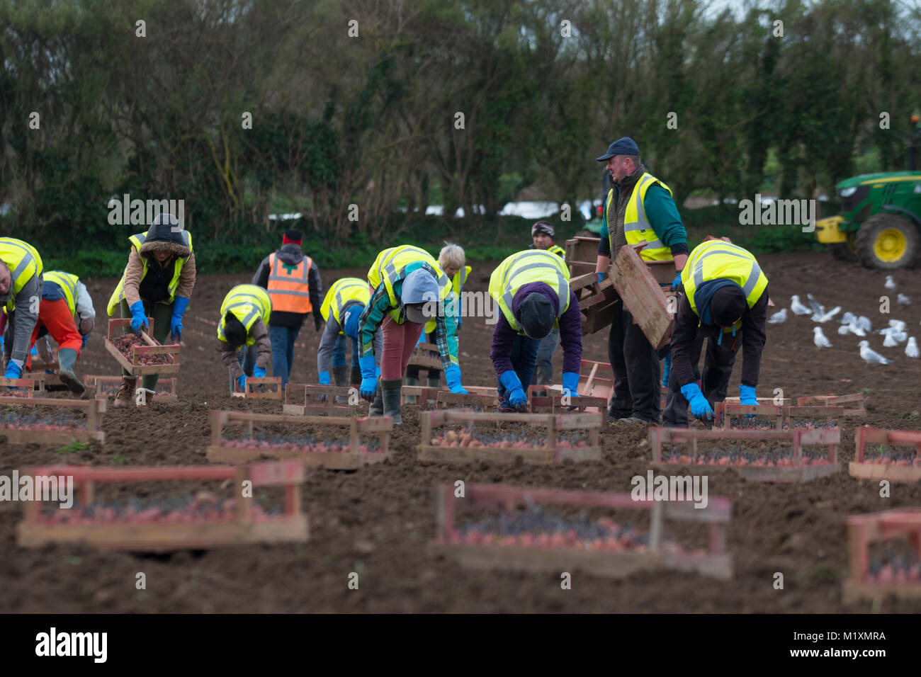 Islands and planting hires stock photography and images Alamy