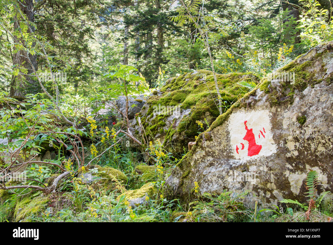 Symbol of the border of the Pyrenees National Park painted on a rock Stock Photo