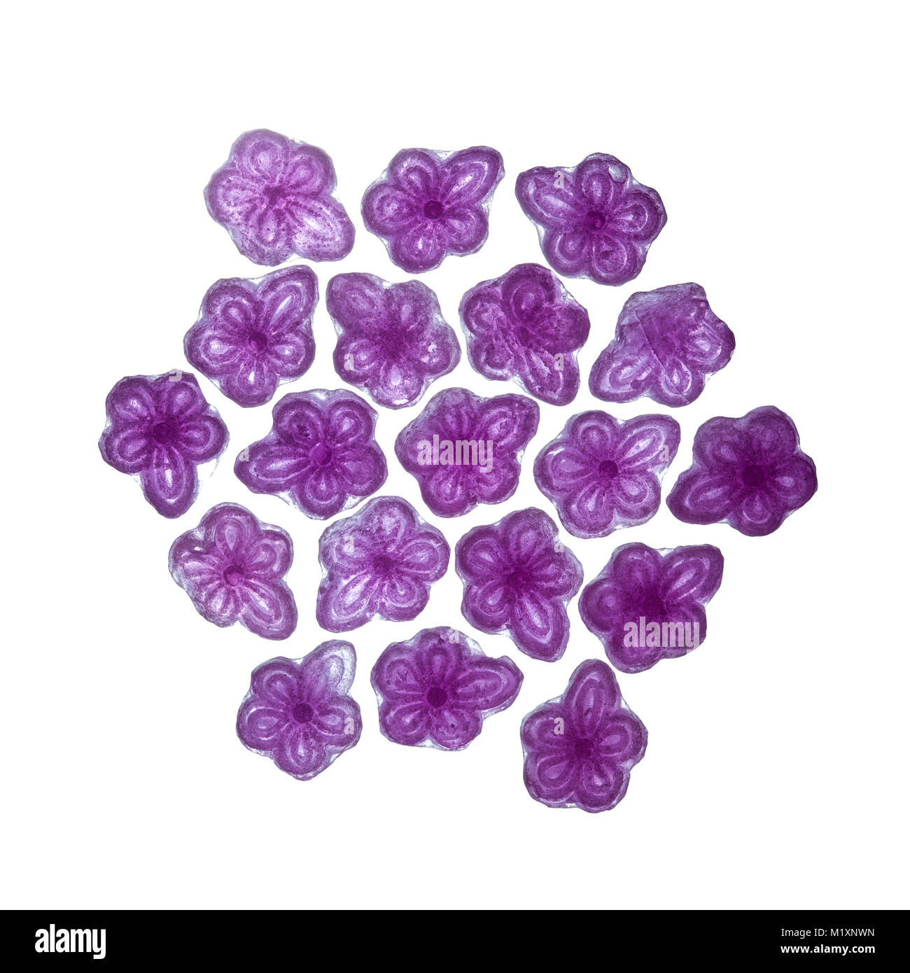 violet candy, hard candy in shape of violet flower, aromatized with