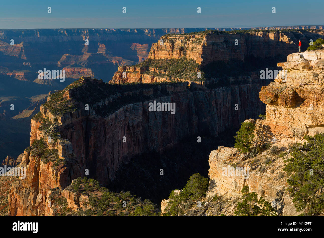 Adrian Klein stands along the edge of the north rim of the Grand Canyon. Arizona, USA Stock Photo