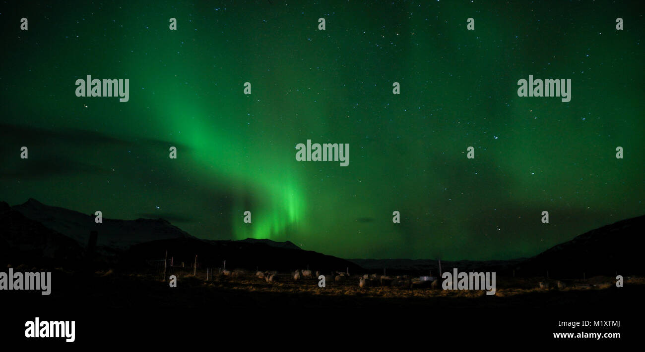The Northern Lights or Aurora Borealis in Iceland Stock Photo - Alamy