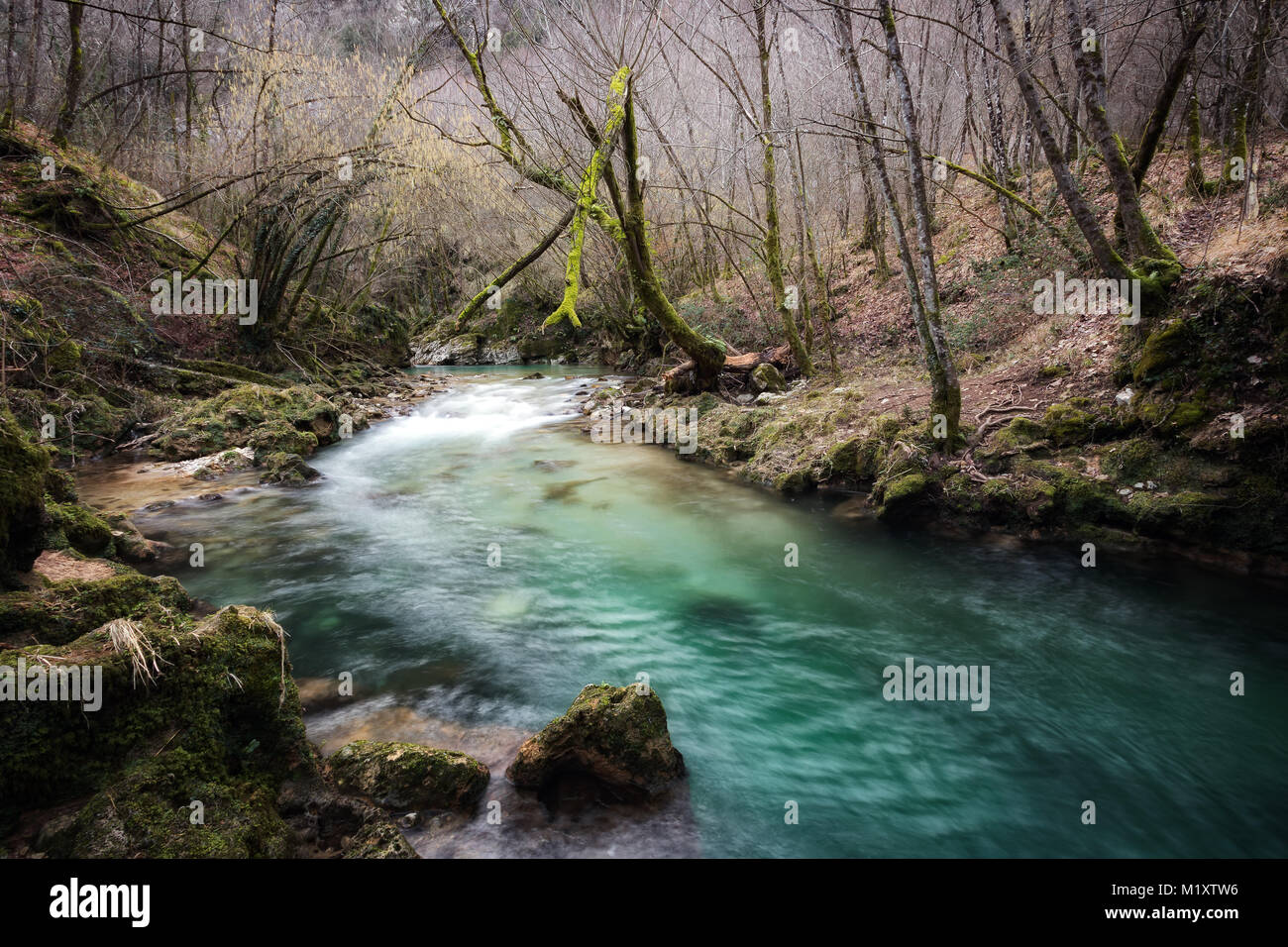 Pure cobalt hi-res stock photography and images - Alamy