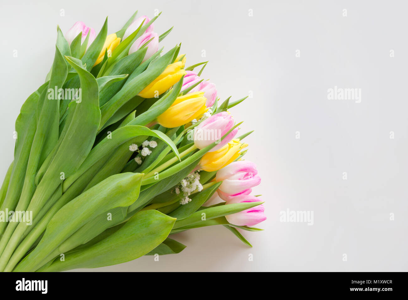 Beautiful spring bouquet of yellow and pink tulip on a white background ...