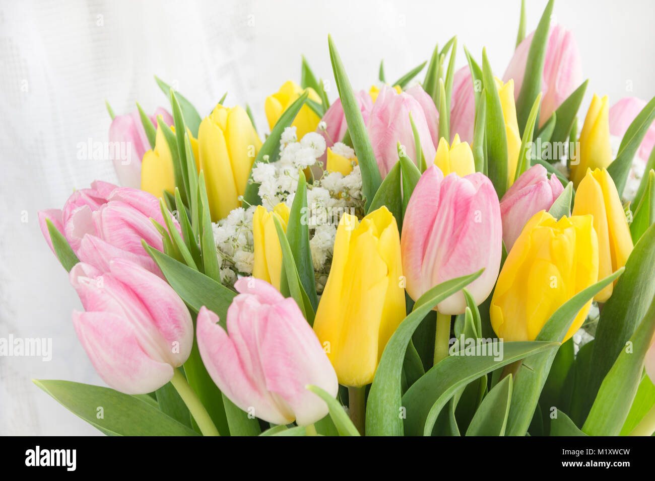Beautiful spring bouquet of yellow and pink tulip on a white background ...