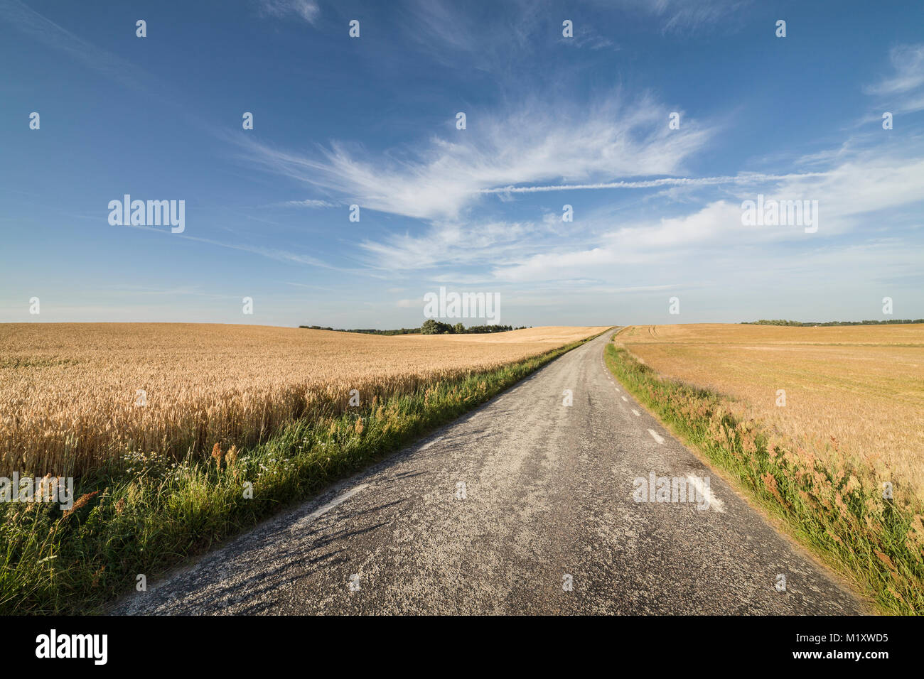 Farmhouse and wheat field in vast landscape. Skane, Sweden, Scandinavia. Stock Photo