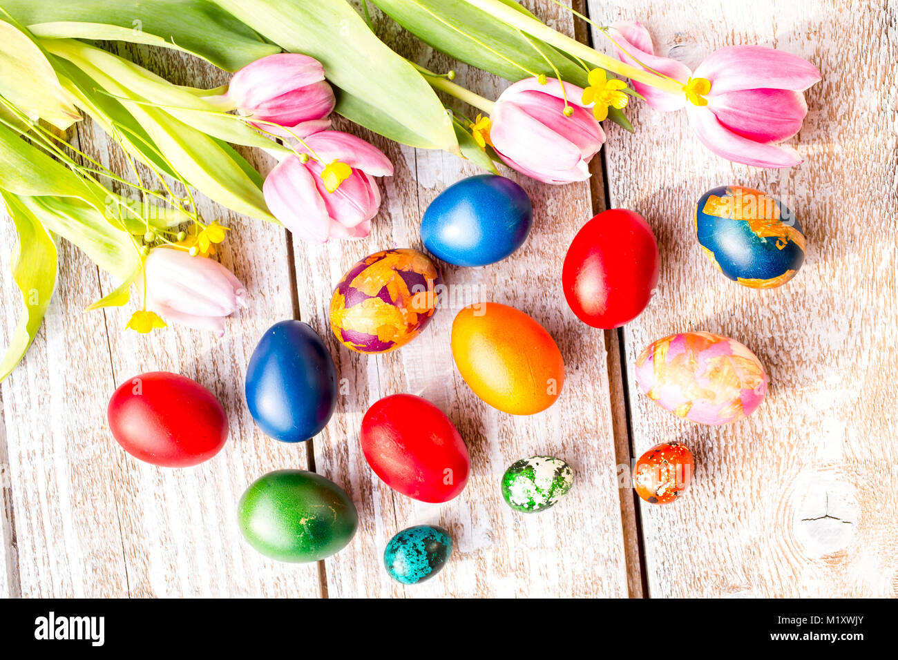 colorful Easter eggs and tulips on a white background Stock Photo - Alamy