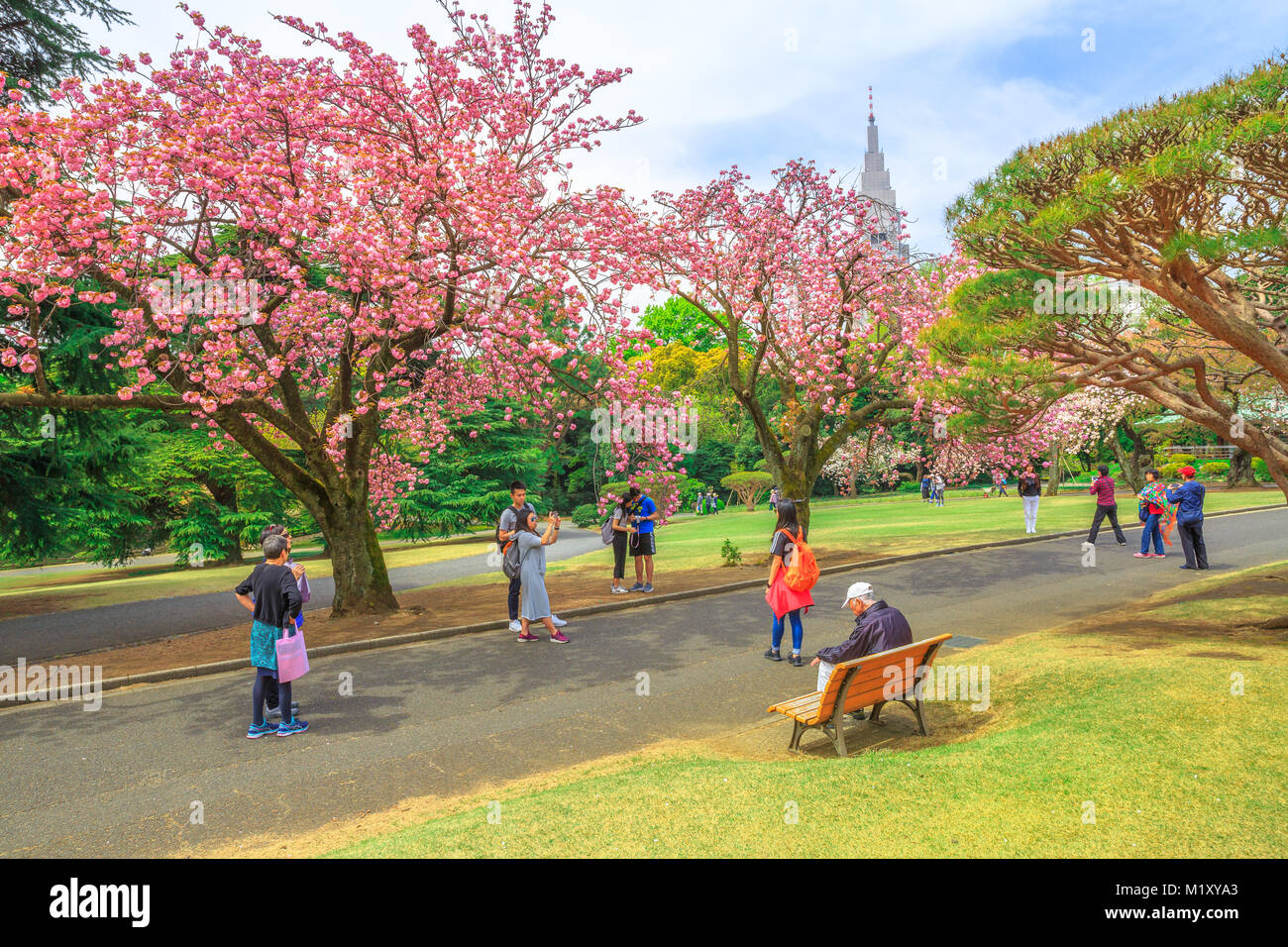 Shinjuku gyoen hanami hi-res stock photography and images - Alamy