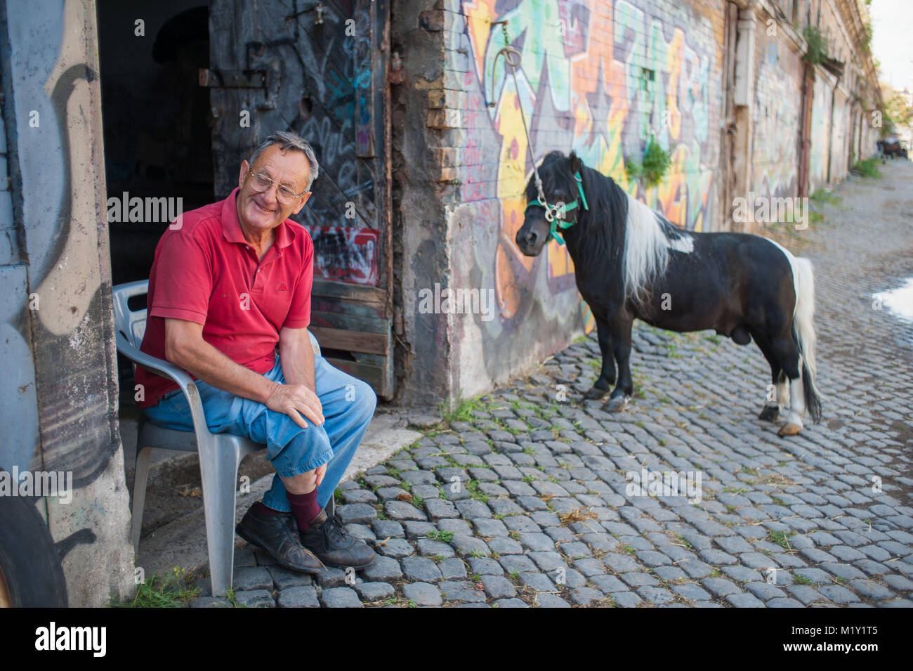 Rome. Italy. Horses stables in Campo Boario Stock Photo Alamy