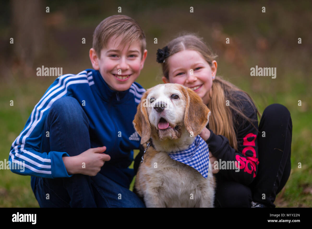 Two children brother and sister with their pet beagle dog in the park Stock Photo