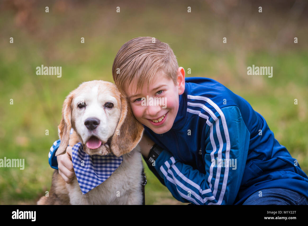 Young boy or youth with his pet beagle dog in a park Stock Photo