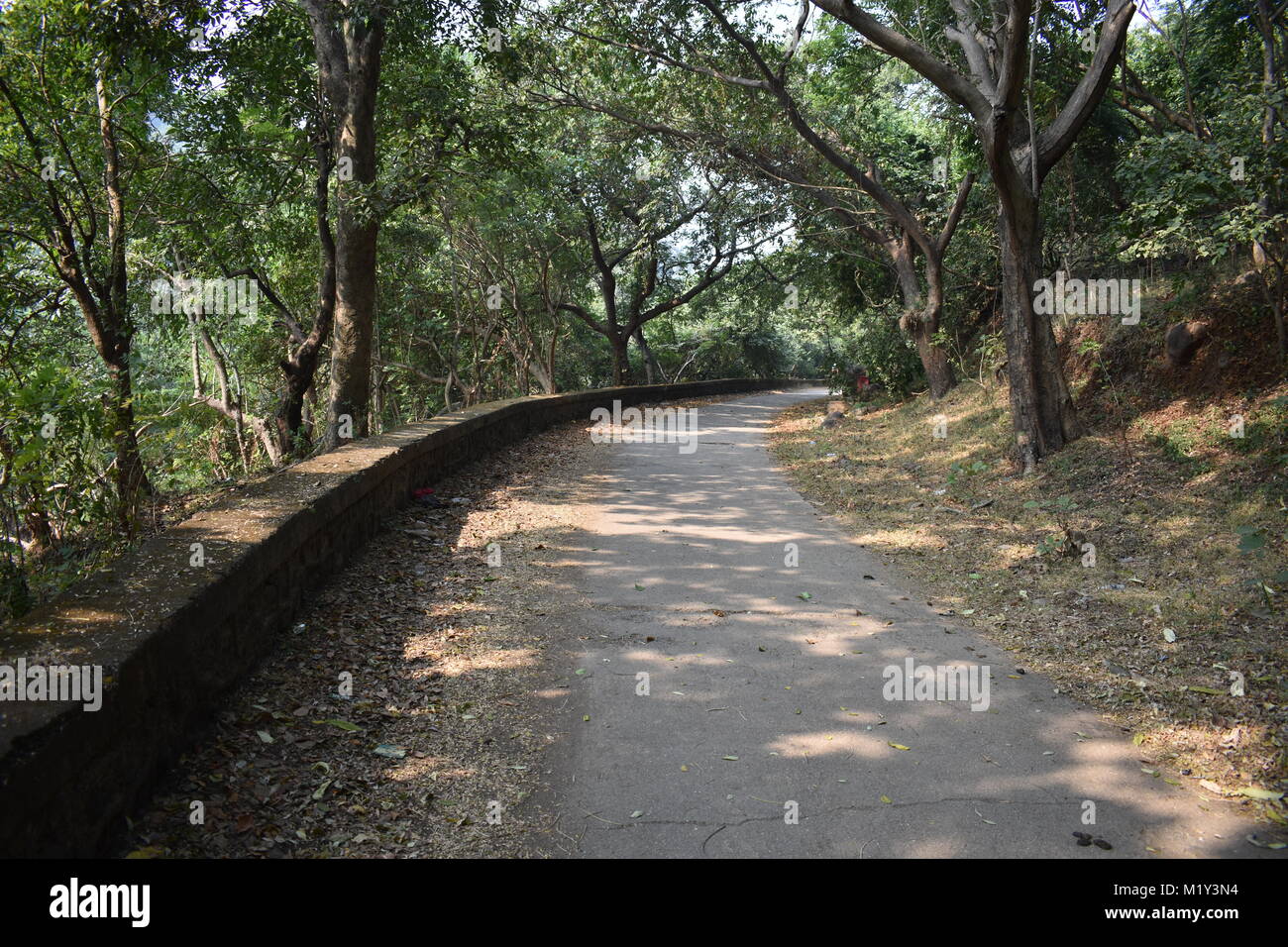 A public pathway looking awesome in sun shine. Stock Photo