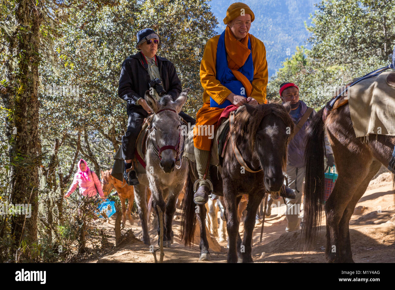 Paro, Bhutan.  Visitors Riding Horses up the Trail to Tiger's Nest Monastery. Stock Photo