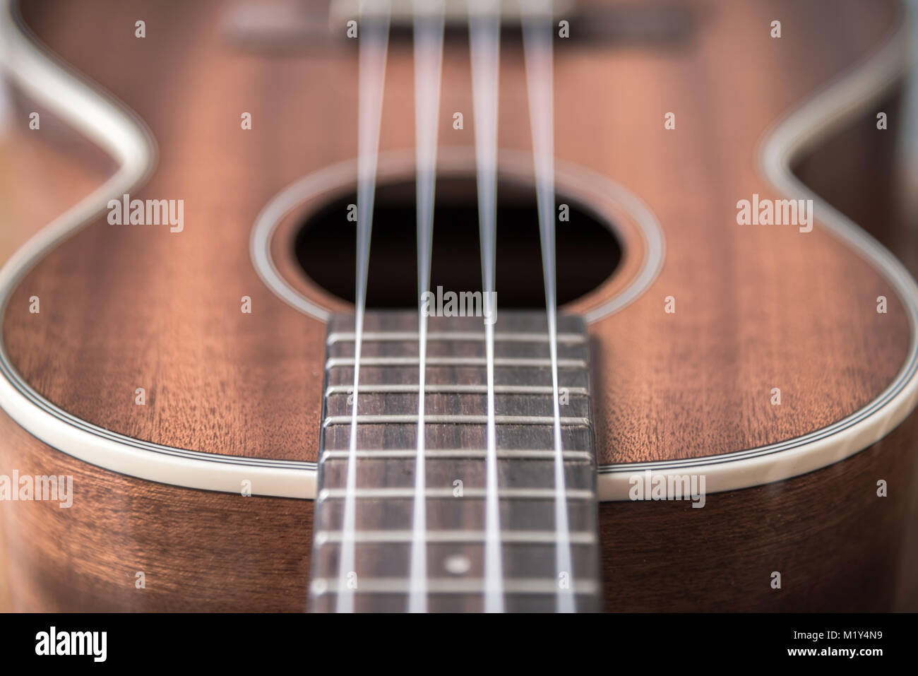 Tenor ukulele closeup of frets and strings on fretboard near ukulele