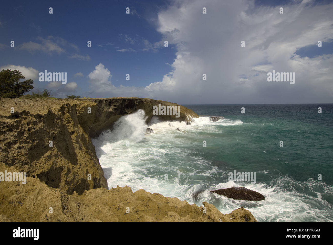 Pozo de Jacinto, Isabela Puerto Rico Stock Photo Alamy