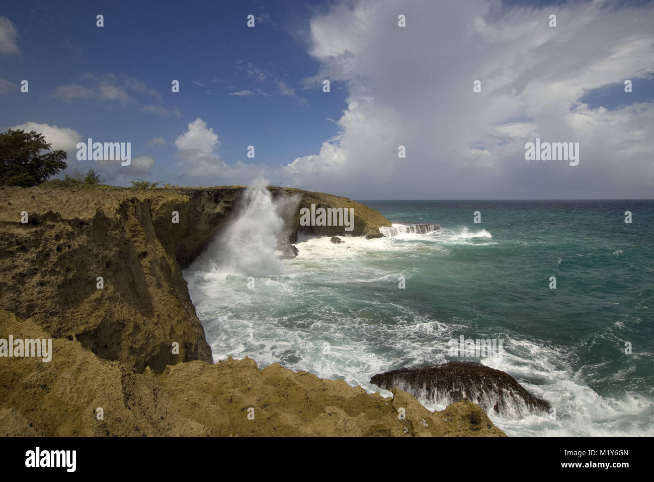 Pozo de Jacinto, Isabela Puerto Rico Stock Photo Alamy