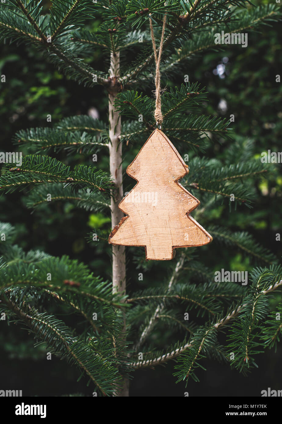 Christmas tree shape hooked on fir tree Stock Photo Alamy