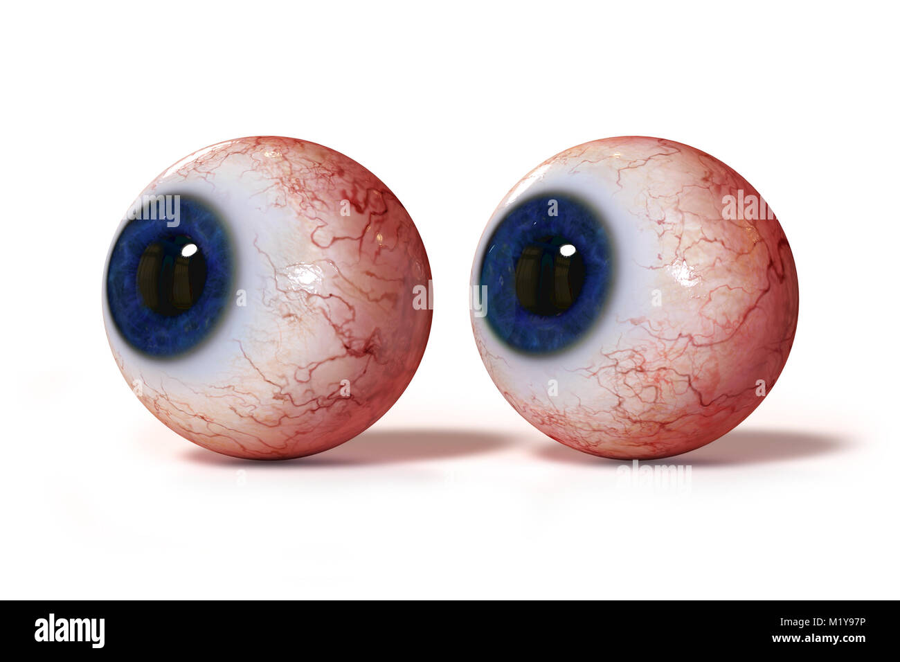 two realistic human eyes with blue iris, isolated on white background Stock Photo