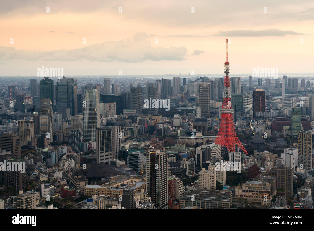 Tokyo city view with Tokyo Tower at evening in Japan. Skyscrapers in downton city. Stock Photo