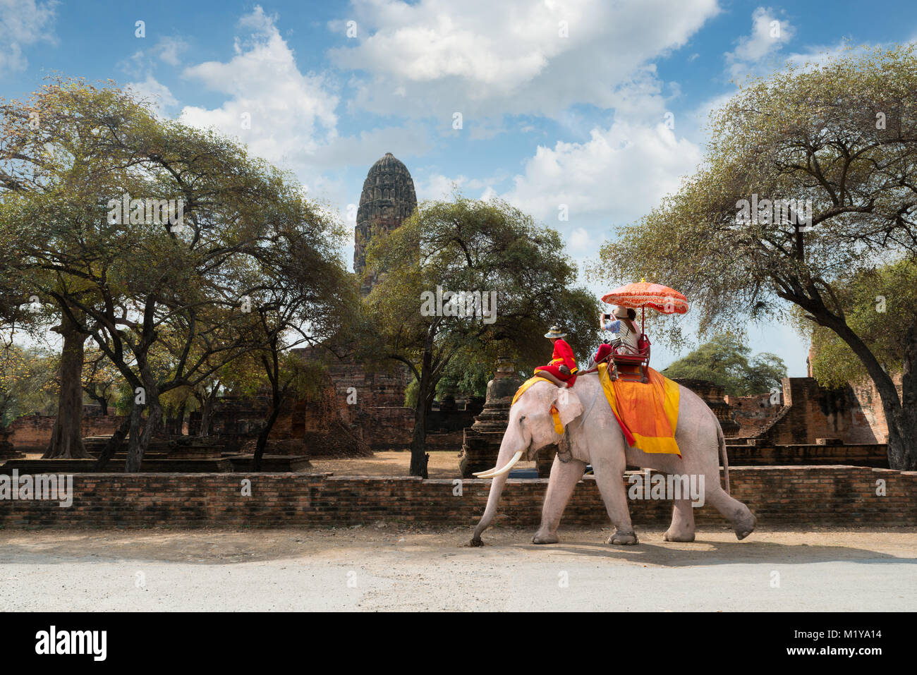 Couple tourists riding elephant ride around Ayutthaya historic site