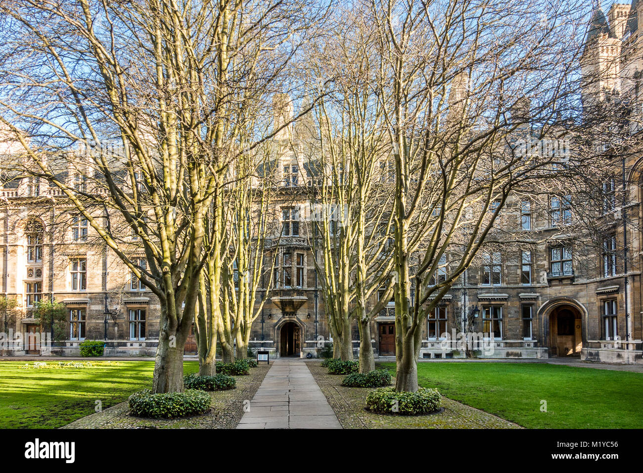 Gonville & Calus college in Cambridge UK Stock Photo